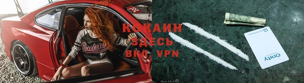 индика Медногорск