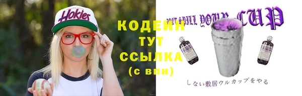 индика Медногорск