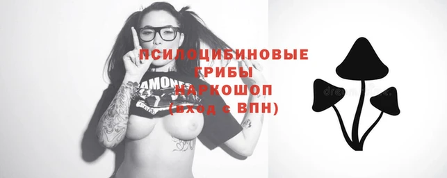 дурь Мегион