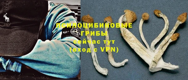 spice Медвежьегорск