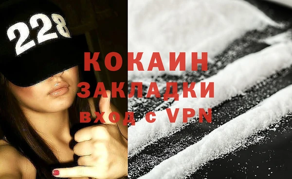 индика Медногорск