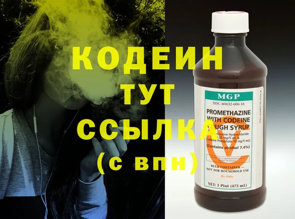 индика Медногорск