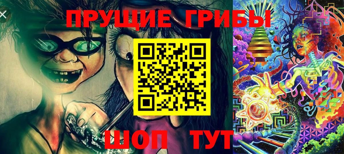 Ростов-на-Дону  Псилоцибиновые грибы мицелий  купить закладку  Вход с VPN 