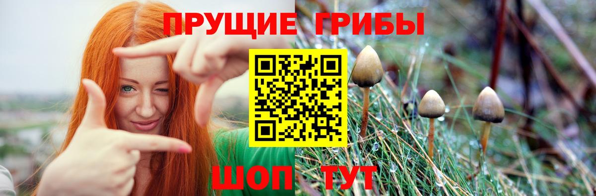 Галлюциногенные грибы Cubensis  Ростов-на-Дону  продажа наркотиков  Псилоцибиновые грибы ЛСД 
