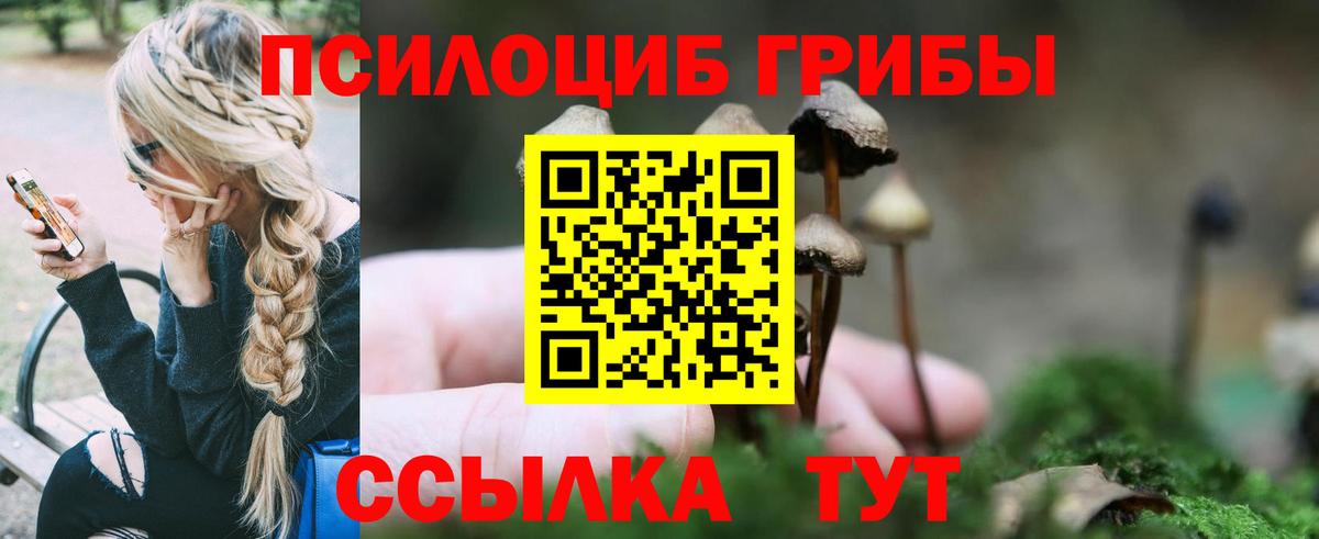Псилоцибиновые грибы MAGIC MUSHROOMS Ростов-на-Дону